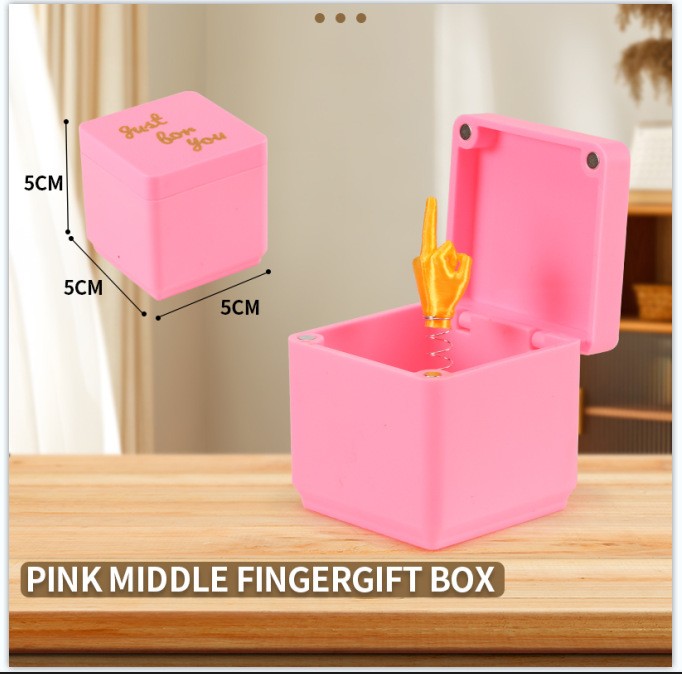 Middle Finger Surprise Gift Boxs Christmas Fun Prank Gift