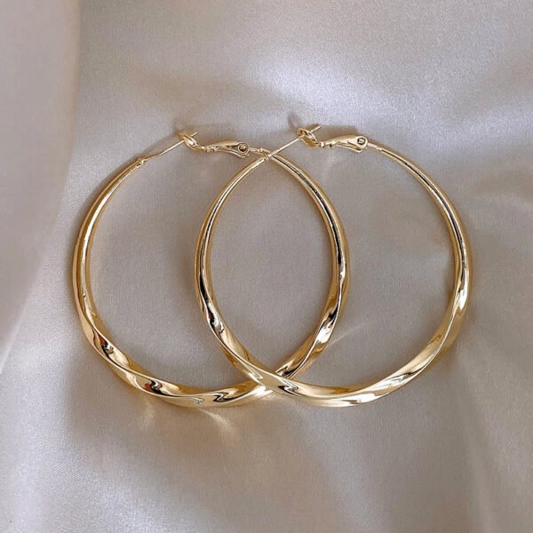 Gold/Silver Metal Hoop Earrings Collection - 图片 2