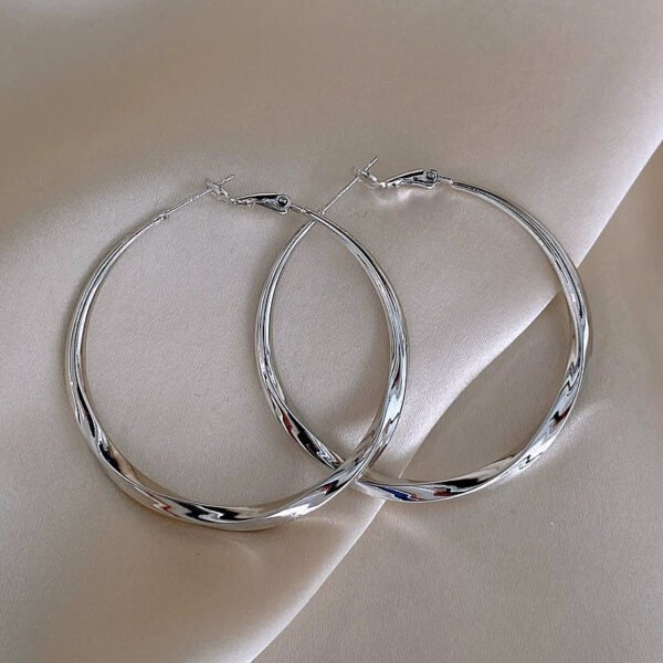 Gold/Silver Metal Hoop Earrings Collection - 图片 3
