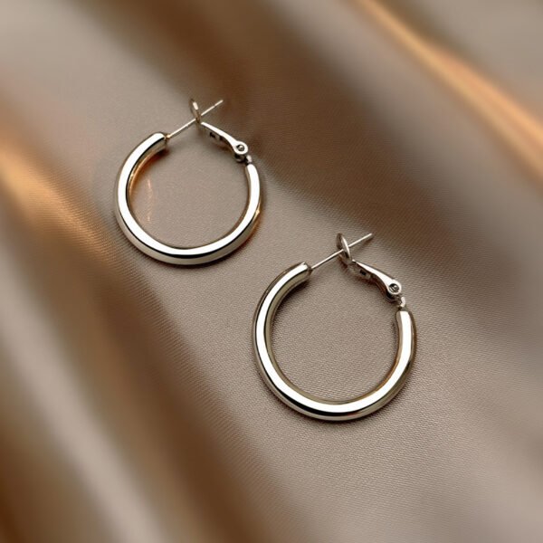 Gold/Silver Metal Hoop Earrings Collection - 图片 7