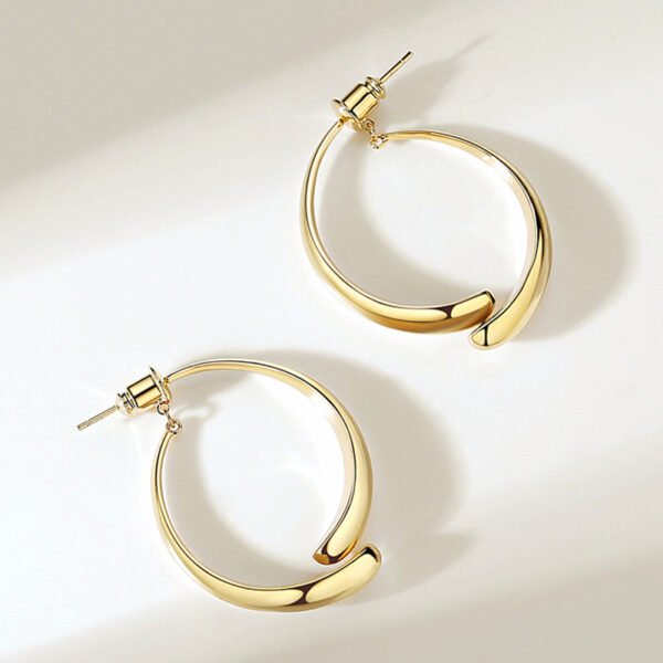 Gold/Silver Metal Hoop Earrings Collection - 图片 9