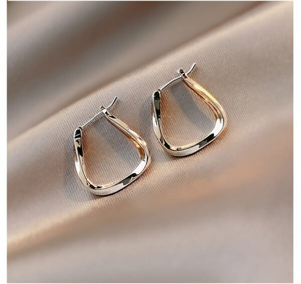 Gold/Silver Metal Hoop Earrings Collection - 图片 11