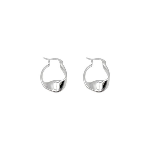 Gold/Silver Metal Hoop Earrings Collection - 图片 12