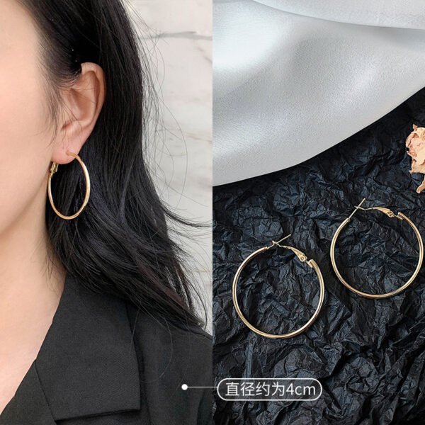 Gold/Silver Metal Hoop Earrings Collection - 图片 15