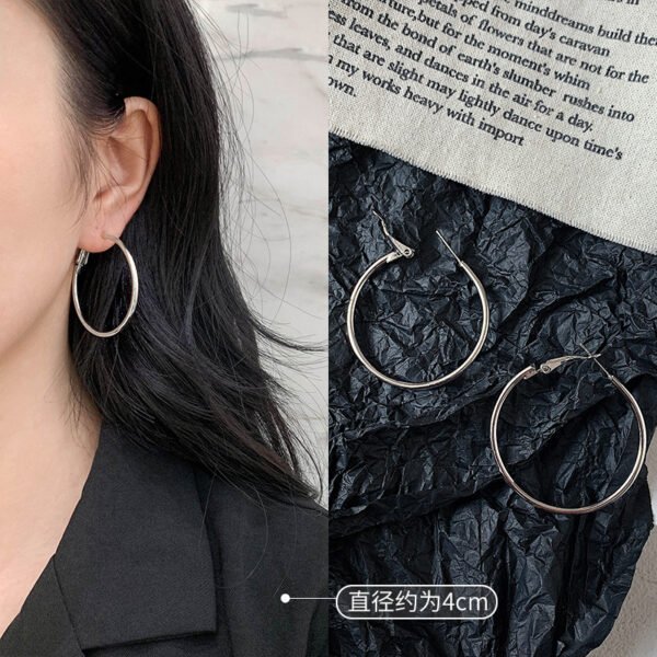 Gold/Silver Metal Hoop Earrings Collection - 图片 16