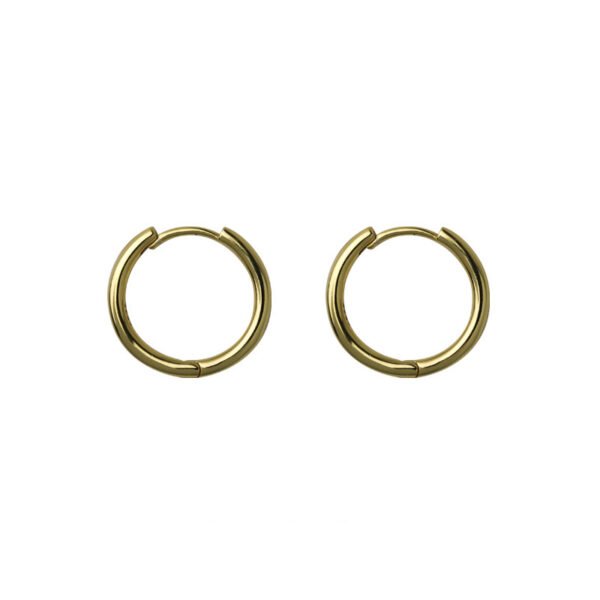 Gold/Silver Metal Hoop Earrings Collection - 图片 17